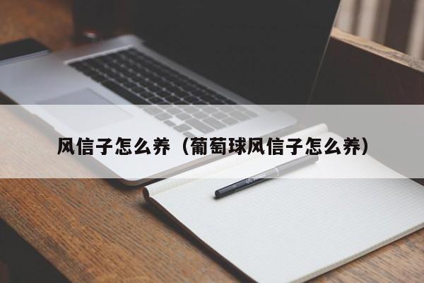 风信子怎么养（葡萄球风信子怎么养） 